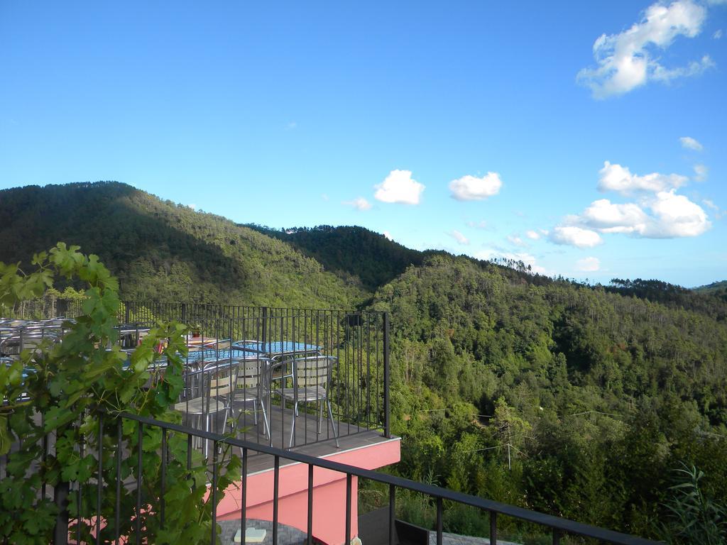 I Gelsi E I Castagni Villa Polverara Luaran gambar