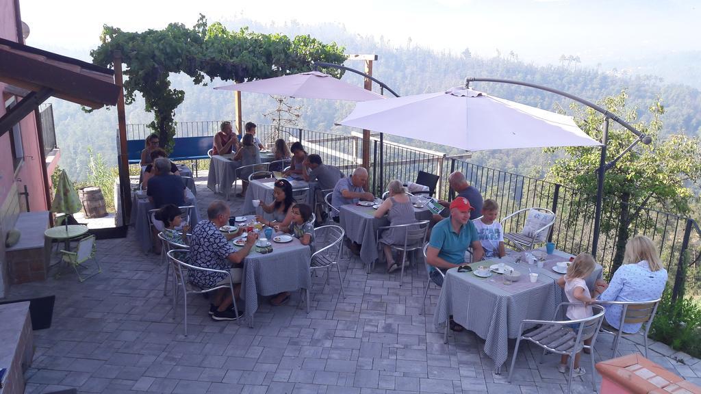 I Gelsi E I Castagni Villa Polverara Luaran gambar