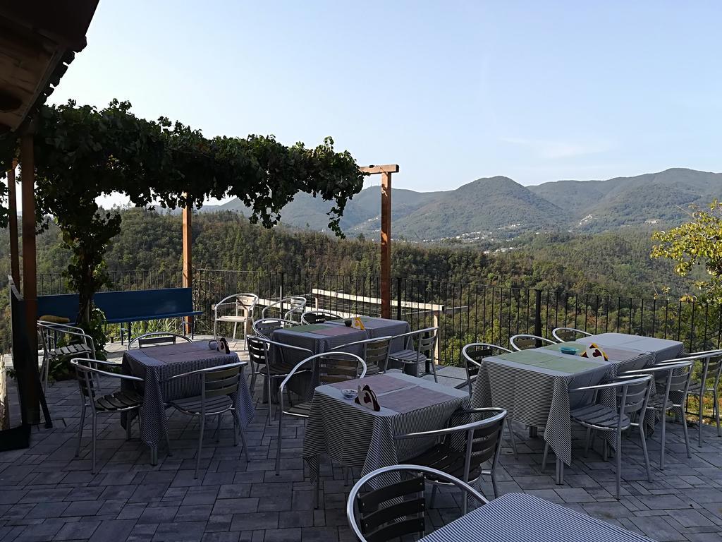 I Gelsi E I Castagni Villa Polverara Luaran gambar
