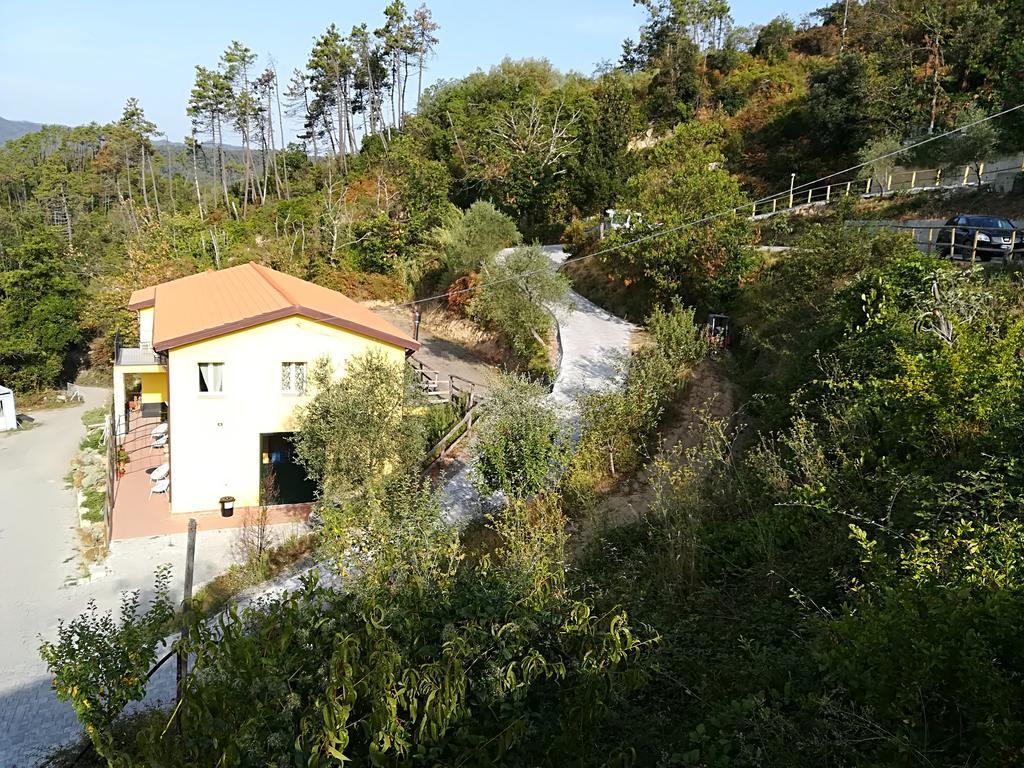 I Gelsi E I Castagni Villa Polverara Luaran gambar