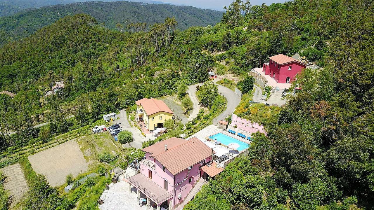 I Gelsi E I Castagni Villa Polverara Luaran gambar